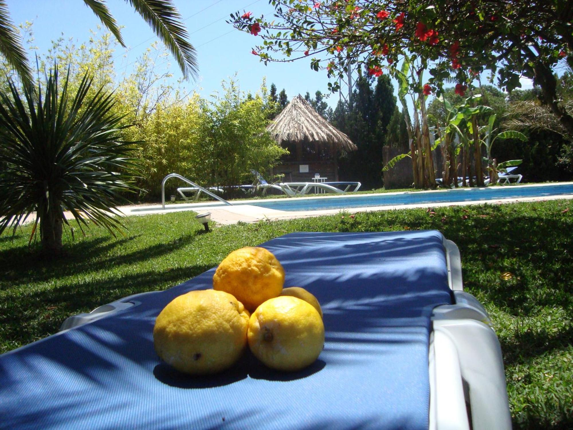 Bungalows Puravida Zahora Exteriér fotografie